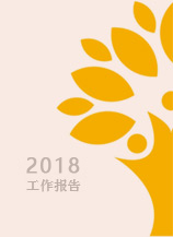 2018年度工作报告