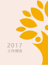 2017年度工作报告